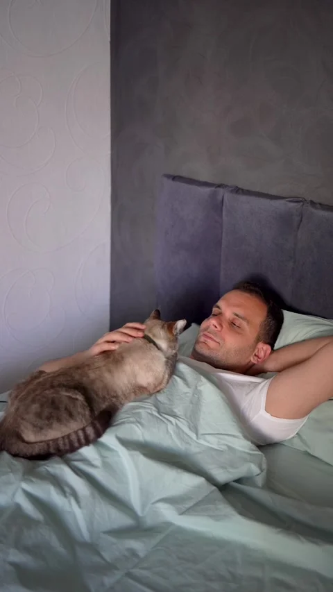 A young man sleeping with a cat on his chest, morning routine Stock-Footage 276379428