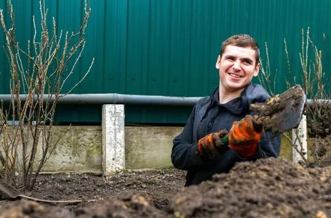 A young man smiling while gardening, digging the soil with a shovel in the .. Fotos Stock