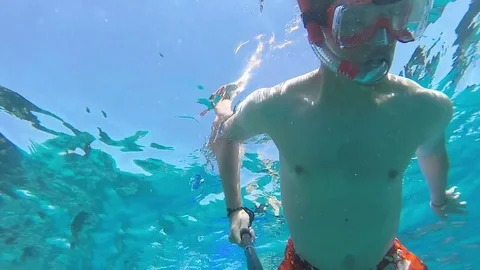 Young man snorkeling between corals in bright blue ocean Vídeo Stock 85057885