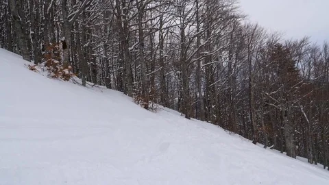 Young man snowboarding through trees in slow motion Stock Footage 85361311