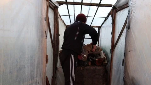 Young Man Stacking Firewood Outside Greenhouse. Stock Footage 126952103