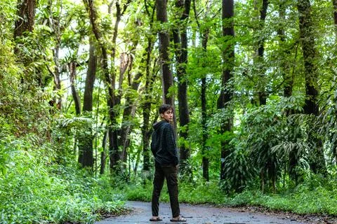 Young man standing alone while watching you. Beautiful dramatic deep forest.. Stock Photos