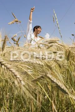 Young man standing in cornfield, one arm outstretched Stock Photos