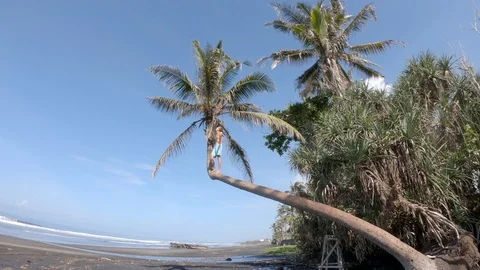 Young man standing on top of a famous concave palm tree in the middle of a beach Stock Footage 129554137
