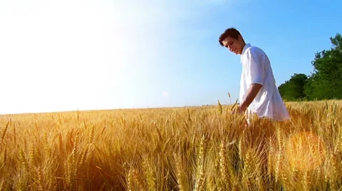 Young man standing in the wheat field Stock Footage 39652855