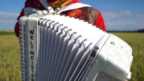 A young man standing in a wheat field and playing the accordion. Video stock 80412061