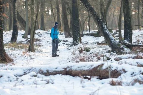 Young man standing in winter forest with snow. Stock Photos