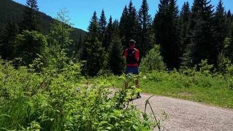 Young man stands on the road in front of forest and looks around - summer sunny Video stock 79276498