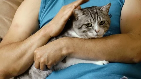 Young man stroking a cat Stock Footage 78306360