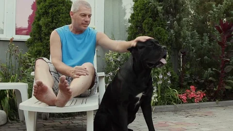 Young man stroking his beloved black dog Cane Corso Stock Footage 119226784