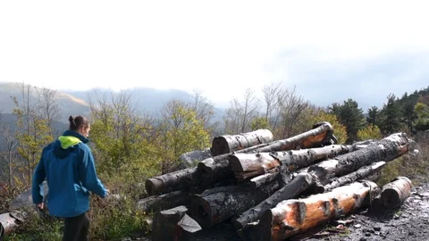 Young Man Successfully Walks Across Log Stack In Mountains (Gimbal) Stock Footage 129209404