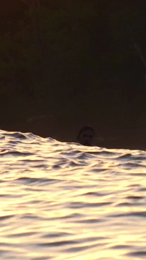 Young man surfing at sunset.Vertical video Stock Footage 295758954