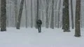 The young man talking by a telephone in the forest. HD Footage