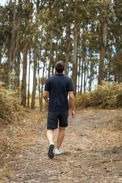 Young man thinking while walking along a path full of tall trees Stock Photos