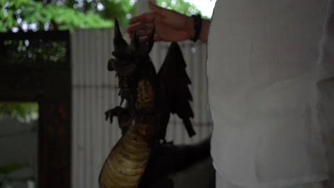Young man touching ancient dragon sculpture and walking in summer house terrace Stock Footage 135656576