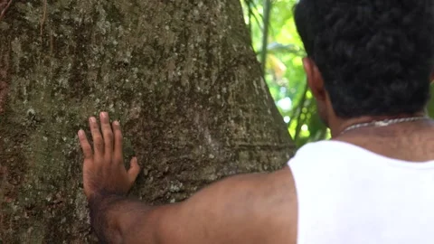 Young man touching tree bark connecting with nature Stock Footage 318012723