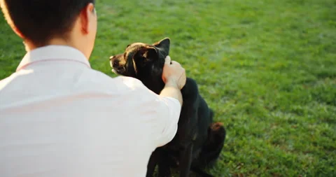 Young Man Training with Happy Shepherd Dog on the Backyard Lawn. Stock-Footage 203783004