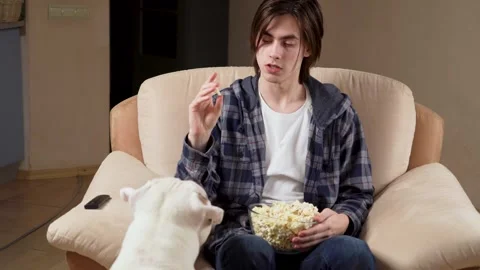 Young man is training his dog at home. an adult guy has fun and plays with his Stock Footage 240411000