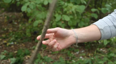 The young man twirling a stick between your fingers in the woods Video stock 68201935