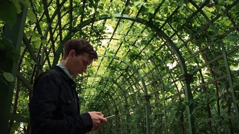 Young man typing message at smartphone standing at city park. Summer day Video stock 77169044