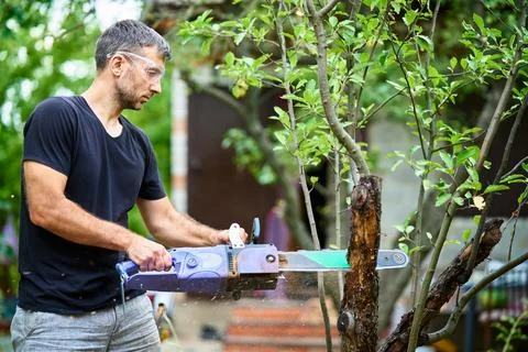 Young man using chainsaw for cutting tree branches at his backyard. Stock-Fotos
