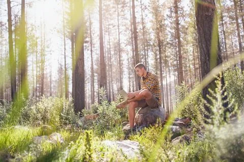 Young man using digital tablet in sunny woods 스톡 사진