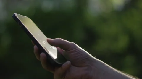 Young man using his phone on a sunny summer day in the forest Stock Footage 276658688