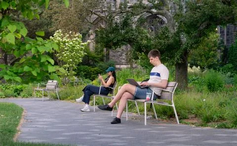 Young man using a laptop computer in a green garden at University of Toronto 库存照片