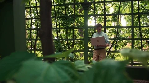 Young man using laptop standing at city park. Summer day Stock Footage 77169098
