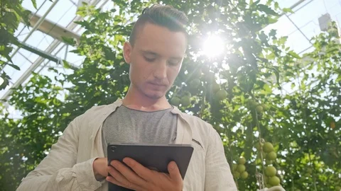 Young Man Using or Playing Tablet in Greenhouse. Green Plant Growing in Warm Stock Footage 116779996