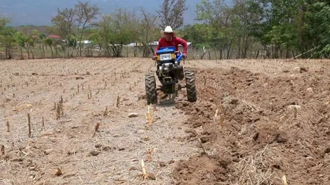 Young man using a small tractor to plow soil Stock Footage 137430865