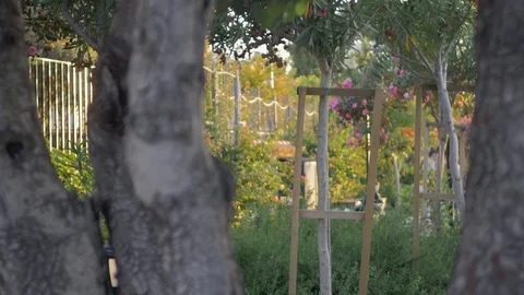 Young man using smartphone Stock Footage 106393328