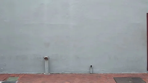 Young Man Walking Across on Sidewalk Slow Motion Stock Footage 40292230