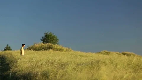 Young Man Walking and Raising Hands in the Wheat Field at Sunset Time Stock Footage 79073403