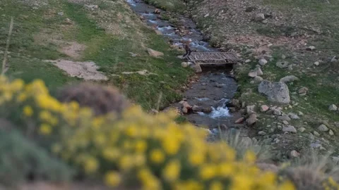 Young man walking on the bridge Stock Footage 294126825
