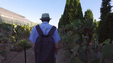 Young man walking in cactus garden on summer day Stock Footage 71966904