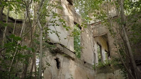 Young man walking into the door frame of an abandoned building, that has Video stock 120744221