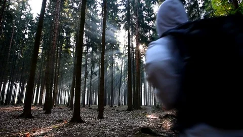 A young man walking down the road in morning sunrise. Stock-Footage 80796967