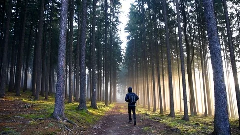 A young man walking down the road in morning sunrise. Stock Footage 82136897