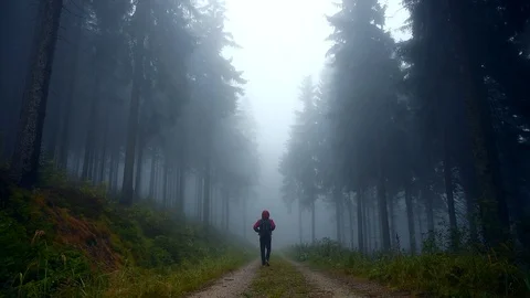 A young man walking down the road in foggy morning. Video stock 94801061