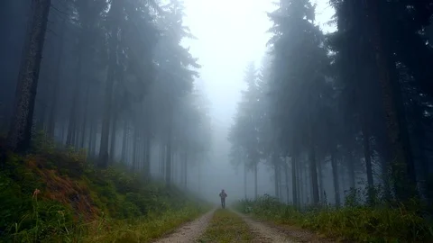 A young man walking down the road in foggy morning. Stock-Footage 94801071