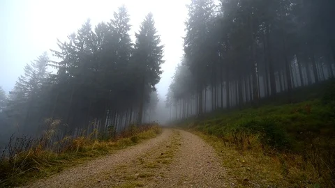 A young man walking down the road in foggy morning. Stock Footage 115172362
