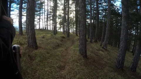 Young man walking in forest 库存影片 86738705