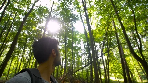 Young man walking in the forest Stock Footage 115538539