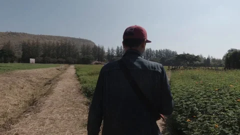 Young Man Walking In Garden Stock Footage 122103863