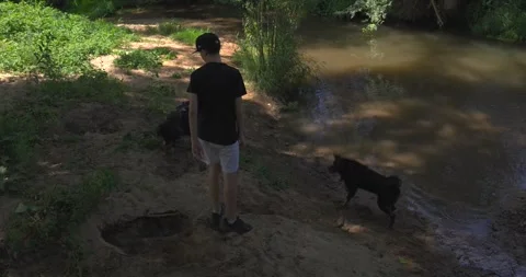 Young man walking his dogs near a muddy river Видео 344043689