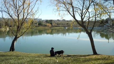 Young man walking his labrador on a sunny winter day Stock Footage 122386321