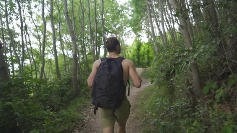 Young man walking in nature. Video stock 212484228