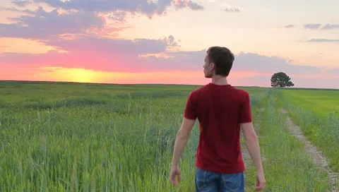The young man walking on the path in the field Stock Footage 11067658