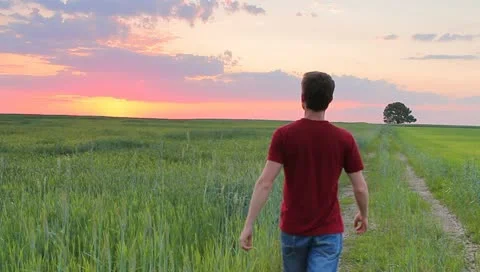 The young man walking on the path in the field Stock Footage 11067661